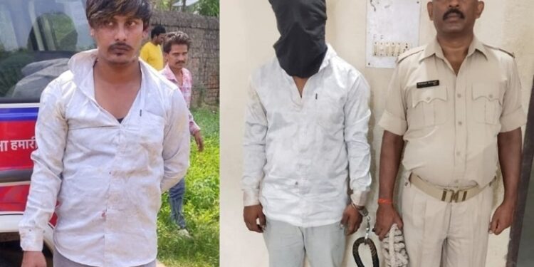 Jamshedpur rural police action – चाकुलिया में बकरी चोर गिरोह का भंडाफोड़, चालक गिरफ्तार, दो भागने में सफल, छह बकरियां बरामद Jamshedpur rural police action – चाकुलिया में बकरी चोर गिरोह का भंडाफोड़, चालक गिरफ्तार, दो भागने में सफल, छह बकरियां बरामद