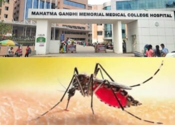 Jamshedpur malaria alert – पोटका के बाद जमशेदपुर में पैर पसार रहा मलेरिया, एमजीएम अस्पताल की नर्स संक्रमित, क्षेत्र में अलर्ट