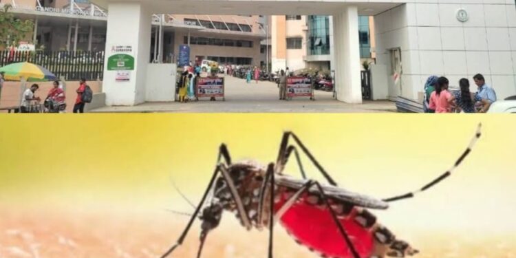 Jamshedpur malaria alert – पोटका के बाद जमशेदपुर में पैर पसार रहा मलेरिया, एमजीएम अस्पताल की नर्स संक्रमित, क्षेत्र में अलर्ट