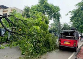 Adityapur incident – आदित्यपुर में सड़क पर गिरा पेड़, आवागमन प्रभावित