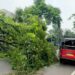 Adityapur incident – आदित्यपुर में सड़क पर गिरा पेड़, आवागमन प्रभावित Adityapur incident – आदित्यपुर में सड़क पर गिरा पेड़, आवागमन प्रभावित