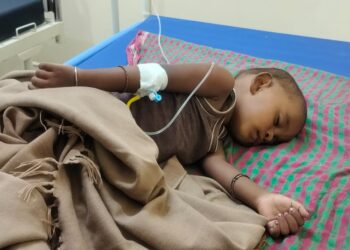 Jamshedpur rural malaria – पोटका में रौद्र रूप धारण कर रहा मलेरिया, 1175 की जांच में 124 मिले पॉजिटिव Jamshedpur rural malaria – पोटका में रौद्र रूप धारण कर रहा मलेरिया, 1175 की जांच में 124 मिले पॉजिटिव