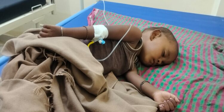 Jamshedpur rural malaria – पोटका में रौद्र रूप धारण कर रहा मलेरिया, 1175 की जांच में 124 मिले पॉजिटिव Jamshedpur rural malaria – पोटका में रौद्र रूप धारण कर रहा मलेरिया, 1175 की जांच में 124 मिले पॉजिटिव
