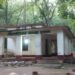 Jamshedpur rural Gotashila puja – चाकुलिया के गोटाशिला पहाड़ पूजा 7 जुलाई को, तैयारियां अंतिम चरण पर, देखिए – video