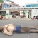 Jamshedpur dead body recognized : साकची से बरामद शव की हुई पहचान, एमजीएम अस्पताल से गायब व्यक्ति की थी लाश Jamshedpur dead body recognized : साकची से बरामद शव की हुई पहचान, एमजीएम अस्पताल से गायब व्यक्ति की थी लाश