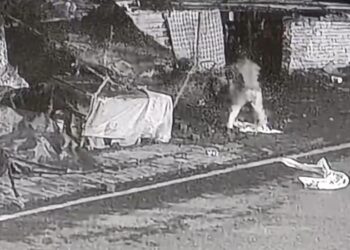 Adityapur incident – आरआईटी में असमाजिक तत्वों ने दुकान में की तोड़फोड़, सामान सड़क पर फेंका, सीसीटीवी कैमरों में कैद हुई वारदात, देखिए – video Adityapur incident – आरआईटी में असमाजिक तत्वों ने दुकान में की तोड़फोड़, सामान सड़क पर फेंका, सीसीटीवी कैमरों में कैद हुई वारदात, देखिए – video