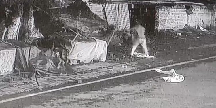 Adityapur incident – आरआईटी में असमाजिक तत्वों ने दुकान में की तोड़फोड़, सामान सड़क पर फेंका, सीसीटीवी कैमरों में कैद हुई वारदात, देखिए – video Adityapur incident – आरआईटी में असमाजिक तत्वों ने दुकान में की तोड़फोड़, सामान सड़क पर फेंका, सीसीटीवी कैमरों में कैद हुई वारदात, देखिए – video