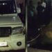 Jamshedpur border area cattle recovered – जमशेदपुर से सटे कपाली में मवेशियों से भरा बोलेरो जब्त, चालक फरार Jamshedpur border area cattle recovered – जमशेदपुर से सटे कपाली में मवेशियों से भरा बोलेरो जब्त, चालक फरार