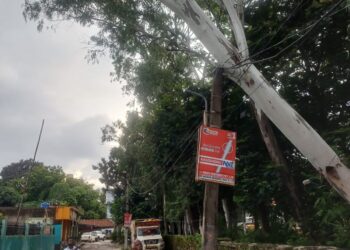 Jamshedpur mango incident – मानगो में पेड़ से लटका बिजली का तार, बड़ा हादसा टला Jamshedpur mango incident – मानगो में पेड़ से लटका बिजली का तार, बड़ा हादसा टला
