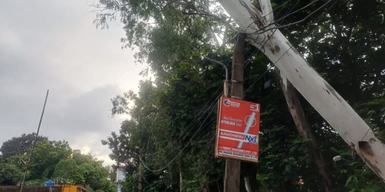 Jamshedpur mango incident – मानगो में पेड़ से लटका बिजली का तार, बड़ा हादसा टला Jamshedpur mango incident – मानगो में पेड़ से लटका बिजली का तार, बड़ा हादसा टला