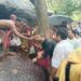 Jamshedpur rural ex mla in kanhaishwar pahad puja : कन्हाईश्वर पहाड़ पूजा में शामिल हुए पूर्व विधायक कुणाल षाड़ंगी, तीन राज्यों के श्रद्धालुओं के साथ की पूजा Jamshedpur rural ex mla in kanhaishwar pahad puja : कन्हाईश्वर पहाड़ पूजा में शामिल हुए पूर्व विधायक कुणाल षाड़ंगी, तीन राज्यों के श्रद्धालुओं के साथ की पूजा