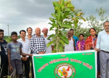 Saraikela plantation : सरायकेला के हेंसा गांव में झारखंड आंदोलनकारियों की स्मृति में वृक्षारोपण, मुख्य अतिथि नपं अध्यक्ष मनोज चौधरी ने लगाया बरगद का बिरवा