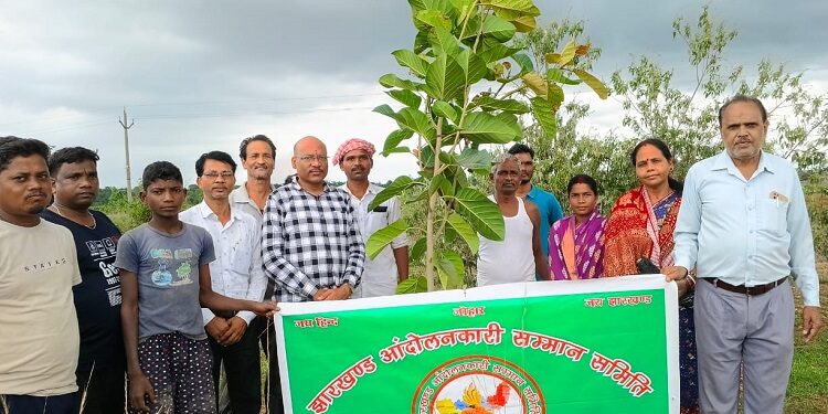 Saraikela plantation : सरायकेला के हेंसा गांव में झारखंड आंदोलनकारियों की स्मृति में वृक्षारोपण, मुख्य अतिथि नपं अध्यक्ष मनोज चौधरी ने लगाया बरगद का बिरवा