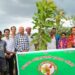 Saraikela plantation : सरायकेला के हेंसा गांव में झारखंड आंदोलनकारियों की स्मृति में वृक्षारोपण, मुख्य अतिथि नपं अध्यक्ष मनोज चौधरी ने लगाया बरगद का बिरवा Saraikela plantation : सरायकेला के हेंसा गांव में झारखंड आंदोलनकारियों की स्मृति में वृक्षारोपण, मुख्य अतिथि नपं अध्यक्ष मनोज चौधरी ने लगाया बरगद का बिरवा