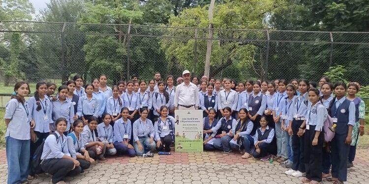tata steel zoological park : टाटा स्टील जुलॉजिकल पार्क में ‘एक पेड़ मां के नाम’ के साथ हुआ वन महोत्सव का समापन, फलदार पौधे लगाये गये, पर्यावरण संरक्षण का दिया संदेश tata steel zoological park : टाटा स्टील जुलॉजिकल पार्क में ‘एक पेड़ मां के नाम’ के साथ हुआ वन महोत्सव का समापन, फलदार पौधे लगाये गये, पर्यावरण संरक्षण का दिया संदेश