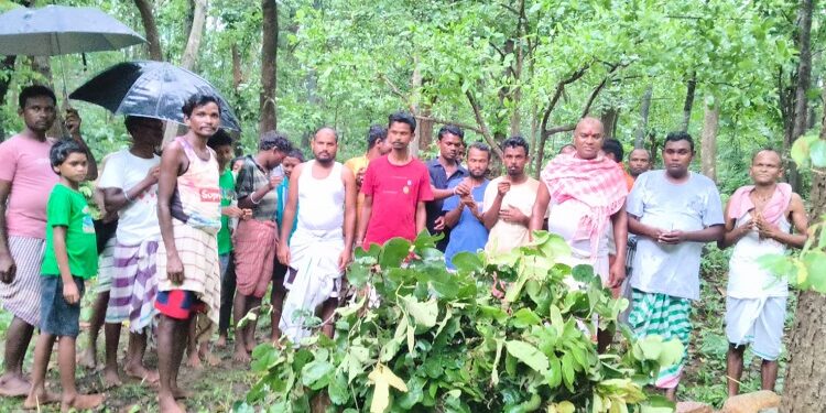 Jamshedpur rural ashadhi puja : डुमरिया के गमिराकोचा जाहेरथान में आषाढ़ी पूजा आयोजित, की गई अच्छी वर्षा, खेती व क्षेत्र की समृद्धि की कामना