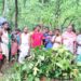 Jamshedpur rural ashadhi puja : डुमरिया के गमिराकोचा जाहेरथान में आषाढ़ी पूजा आयोजित, की गई अच्छी वर्षा, खेती व क्षेत्र की समृद्धि की कामना Jamshedpur rural ashadhi puja : डुमरिया के गमिराकोचा जाहेरथान में आषाढ़ी पूजा आयोजित, की गई अच्छी वर्षा, खेती व क्षेत्र की समृद्धि की कामना