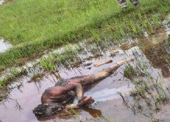 Jamshedpur rural deadbody recognized : बोड़ाम के कदमजोड़ा गांव में खेत से मिले अज्ञात शव की हुई पहचान, गांव के ही चिनिवास महतो उर्फ भोटरा के रूप में हुई पहचान Jamshedpur rural deadbody recognized : बोड़ाम के कदमजोड़ा गांव में खेत से मिले अज्ञात शव की हुई पहचान, गांव के ही चिनिवास महतो उर्फ भोटरा के रूप में हुई पहचान
