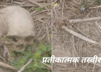 Jamshedpur human skeleton found – परसुडीह में मिला नरकंकाल, मचा हड़कंप