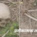 Jamshedpur human skeleton found – परसुडीह में मिला नरकंकाल, मचा हड़कंप Jamshedpur human skeleton found – परसुडीह में मिला नरकंकाल, मचा हड़कंप