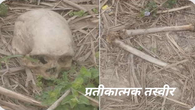 Jamshedpur human skeleton found – परसुडीह में मिला नरकंकाल, मचा हड़कंप Jamshedpur human skeleton found – परसुडीह में मिला नरकंकाल, मचा हड़कंप
