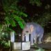 Jamshedpur rural elephant – चाकुलिया में भोजन व पानी की तलाश में भटक रहें हाथी, देर रात कुएं के पास पहुंचा गजराज