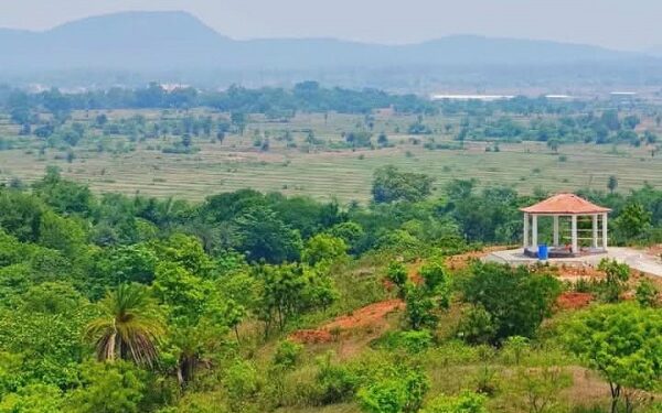 Jamshedpur rural – चाकुलिया के खोड़ी पहाड़ी पहाड़ पूजा 11 जुलाई को, तैयारियां अंतिम चरण पर Jamshedpur rural – चाकुलिया के खोड़ी पहाड़ी पहाड़ पूजा 11 जुलाई को, तैयारियां अंतिम चरण पर
