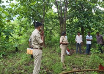 Jamshedpur border area body found – कपाली जंगल में पेड़ से लटका मिला अज्ञात महिला का शव, सनसनी Jamshedpur border area body found – कपाली जंगल में पेड़ से लटका मिला अज्ञात महिला का शव, सनसनी