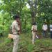 Jamshedpur border area body found – कपाली जंगल में पेड़ से लटका मिला अज्ञात महिला का शव, सनसनी Jamshedpur border area body found – कपाली जंगल में पेड़ से लटका मिला अज्ञात महिला का शव, सनसनी