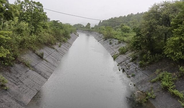 Jamshedpur rural – अलनीनो के बीच नहर के पानी पर टिकी किसानों की आस, शाखा नहरें बनीं शोपीस