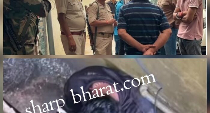 Jamshedpur police – भुइयांडीह में साइबर ठगी के आरोपी को पकड़ने में जुटी पुलिस, एक इमारत से दूसरी इमारत भागता रहा आरोपी Jamshedpur police – भुइयांडीह में साइबर ठगी के आरोपी को पकड़ने में जुटी पुलिस, एक इमारत से दूसरी इमारत भागता रहा आरोपी