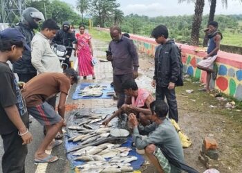 Jamshedpur rural – गालूडीह बराज डैम बना मछुआरों के रोजगार का सहारा, 70-80 रुपये किलो बिक रही मछलियां Jamshedpur rural – गालूडीह बराज डैम बना मछुआरों के रोजगार का सहारा, 70-80 रुपये किलो बिक रही मछलियां