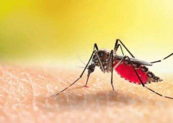Jamshedpur rural malaria death case- जादूगोड़ा में ब्रेन मलेरिया से एक और युवक की गयी जान, अब तक नौ की हो चुकी है मौत