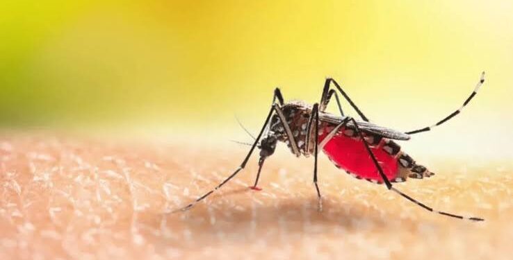 Jamshedpur rural malaria death case- जादूगोड़ा में ब्रेन मलेरिया से एक और युवक की गयी जान, अब तक नौ की हो चुकी है मौत