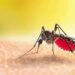 Jamshedpur rural malaria death case- जादूगोड़ा में ब्रेन मलेरिया से एक और युवक की गयी जान, अब तक नौ की हो चुकी है मौत