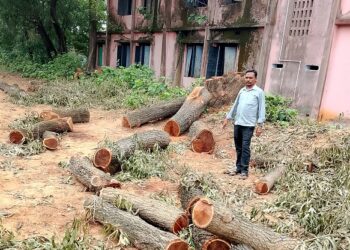 Jamshedpur rural – मानुषमुरिया प्लस टू उच्च विद्यालय में एचएम ने कटवाया पेड़, मुखिया ने जांच कर कार्रवाई की मांग की Jamshedpur rural – मानुषमुरिया प्लस टू उच्च विद्यालय में एचएम ने कटवाया पेड़, मुखिया ने जांच कर कार्रवाई की मांग की