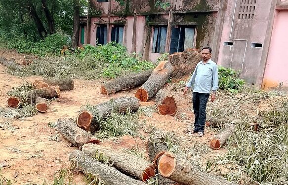Jamshedpur rural – मानुषमुरिया प्लस टू उच्च विद्यालय में एचएम ने कटवाया पेड़, मुखिया ने जांच कर कार्रवाई की मांग की Jamshedpur rural – मानुषमुरिया प्लस टू उच्च विद्यालय में एचएम ने कटवाया पेड़, मुखिया ने जांच कर कार्रवाई की मांग की