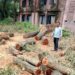 Jamshedpur rural – मानुषमुरिया प्लस टू उच्च विद्यालय में एचएम ने कटवाया पेड़, मुखिया ने जांच कर कार्रवाई की मांग की