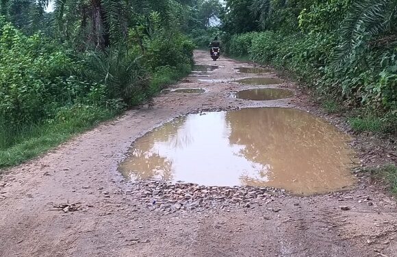 Jamshedpur rural road issue – बहरागोड़ा के बामडोल से मधुआबेड़ा होते हुए चड़कमारा जाने वाली सड़क सालों से जर्जर, शिकायतों के बावजूद मरम्मत नहीं Jamshedpur rural road issue – बहरागोड़ा के बामडोल से मधुआबेड़ा होते हुए चड़कमारा जाने वाली सड़क सालों से जर्जर, शिकायतों के बावजूद मरम्मत नहीं