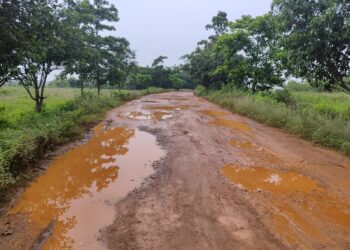 jamshedpur rural-बहरागोड़ा में मूसलाधार बारिश से जनजीवन अस्त-व्यस्त, जर्जर सड़क पर आवागमन को मजबूर, सड़क मरम्मत करने की मांग jamshedpur rural-बहरागोड़ा में मूसलाधार बारिश से जनजीवन अस्त-व्यस्त, जर्जर सड़क पर आवागमन को मजबूर, सड़क मरम्मत करने की मांग