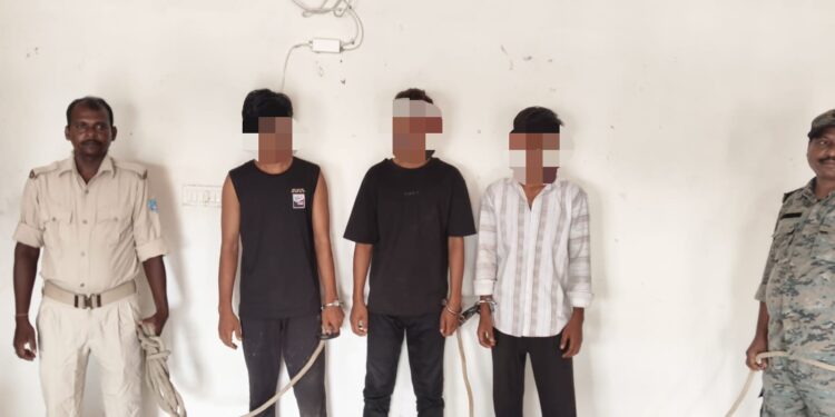 jamshedpur rural- गालूडीह पुलिस ने बकरी चोरी के तीनों आरोपियों को धर दबोचा, भेजा जेल, तीनों कपाली के रहने वाले