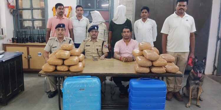 Tatanagar rpf and grp success-टाटानगर आरपीएफ व जीआरपी को मिली बड़ी सफलता, 30 किलो गांजा के साथ बिहार के दो युवक गिरफ्तार