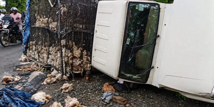 jamshedpur rural accident- पोटका में तेज रफ्तार मुर्गो से भरा पिकअप वैन पलटा, चालक गंभीर रूप से घायल