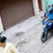 jamshedpur snatching-उलीडीह में पूजा करने जा रही बुजुर्ग महिला से चेन की छिनतई, बाइक सवार युवकों ने घटना को दिया अंजाम, पुलिस मामले की जांच में जुटी, देखिए video