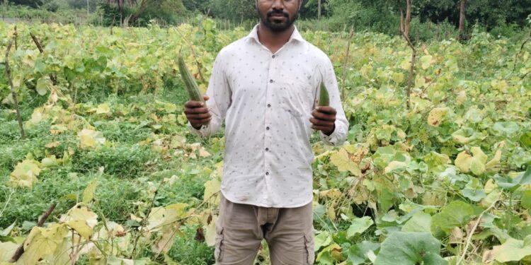 jamshedpur rural- चाकुलिया के पाकुड़िया गांव में हाथियों का उत्पात, सब्जी व मकई फसल को किया क्षतिग्रस्त, हजारों का नुकसान, किसान चिंतित jamshedpur rural- चाकुलिया के पाकुड़िया गांव में हाथियों का उत्पात, सब्जी व मकई फसल को किया क्षतिग्रस्त, हजारों का नुकसान, किसान चिंतित