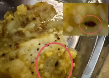 Jamshedpur Cockroach found – बिष्टुपुर के एक किचन के डोसे में मिला कॉकरोच, हड़कंप