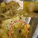 Jamshedpur Cockroach found – बिष्टुपुर के एक किचन के डोसे में मिला कॉकरोच, हड़कंप