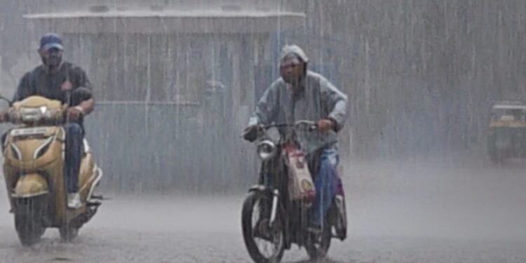 Jharkhand weather alert: सावन की दूसरी सोमवारी पर जमशेदपुर व आस-पास के इलाकों में जमकर बरसे मेघ, अगले दो दिन कोल्हान सहित इन जिलों में भारी बारिश का अलर्ट Jharkhand weather alert: सावन की दूसरी सोमवारी पर जमशेदपुर व आस-पास के इलाकों में जमकर बरसे मेघ, अगले दो दिन कोल्हान सहित इन जिलों में भारी बारिश का अलर्ट