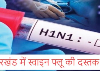 Jharkhand H1N1 alert : झारखंड में एच1एन1 की दस्तक, स्वाइन फ्लू के 24 नये केस सामने आये