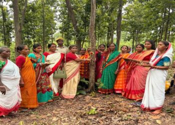 Jamshedpur rural raksha bandhan : चाकुलिया के चियाबांधी वन सुरक्षा समिति ने पेड़ों को बांधी राखी, वनों को संरक्षित करने का लिया संकल्प